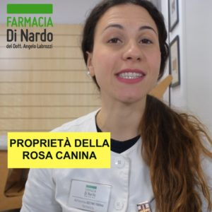 Rosa canina un rimedio naturale