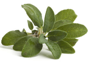 salvia: finalmente libera dalle vampate di calore